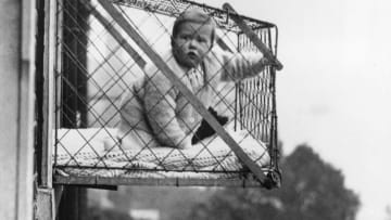 Nothing to see here—just a baby in a cage hanging out a window, taking in the air!