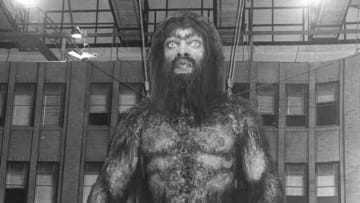 Yeti (Photo by Keystone/Getty Images)