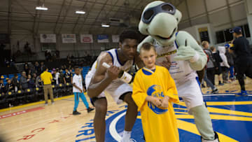 Santa Cruz Warriors, Mandatory Copyright Notice: Copyright 2017 NBAE (Photo by Andrew Wheeler/NBAE via Getty Images)