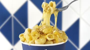 Cult Culinary Classics - aka cheesy Tillamook Creamery Recipes. Tile background featuring Classic Tillamook Mac & Cheese in cup with fork., photo provided by Tillamook