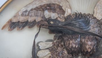 Abraham Lincoln's hair was used to make the eagle's head in this one-of-a-kind sculpture.