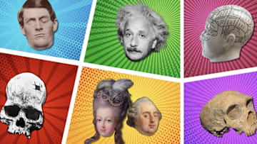 Clockwise from left: Phineas Gage; Albert Einstein; a Fowler phrenology bust; Gibraltar 1;  Marie Antoinette and Louis XVI; and a trepanned skull given to Ephraim George Squier.