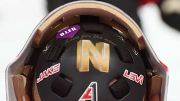 OTTAWA, ON - FEBRUARY 7: Craig Anderson #41 of the Ottawa Senators wears a special decal on the back of his helmet on Hockey Talks night, in support of Do It For Daron (D.I.F.D.) during warmup prior to a NHL game against the Anaheim Ducks at Canadian Tire Centre on February 7, 2019 in Ottawa, Ontario, Canada. (Photo by Matt Zambonin/NHLI via Getty Images)