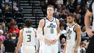SALT LAKE CITY, UT - NOVEMBER 11: Jonas Jerebko (Photo by Melissa Majchrzak/NBAE via Getty Images)