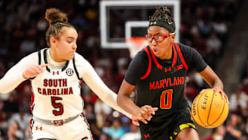 South Carolina basketball got great performances from some of their less famous faces, including true freshman Tessa Johnson. Mandatory Credit: Jeff Blake-USA TODAY Sports