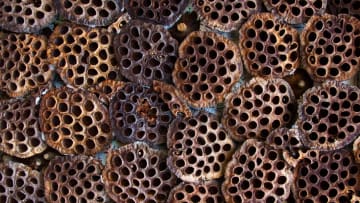 jdpaek/iStock via Getty Images