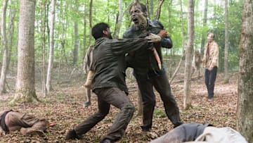 Siddiq (Avi Nash) in The Walking Dead Season 8 Episode 6Photo by Gene Page/AMC