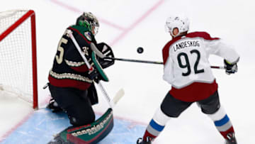 Darcy Kuemper #35 of the Arizona Coyotes (Photo by Jeff Vinnick/Getty Images)