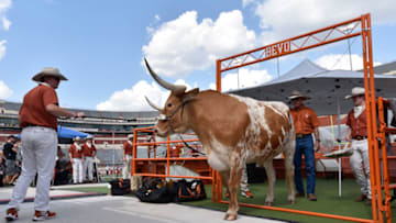 Texas Football Mandatory Credit: Scott Wachter-USA TODAY Sports