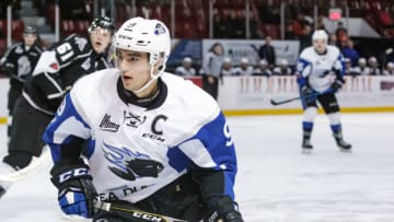 GATINEAU, CANADA - DECEMBER 1: Joe Veleno #9 of the Saint John Sea Dogs skates against the Gatineau Olympiques on December 1, 2017 at Robert Guertin Arena in Gatineau, Quebec, Canada. (Photo by Francois Laplante/Freestyle Photography/Getty Images)