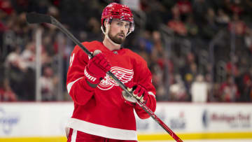 Dylan Larkin. Captain of the Detroit Red Wings. Mandatory Credit: Raj Mehta-USA TODAY Sports