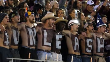 STARKVILLE, MS - NOVEMBER 11: Mississippi State Bulldogs fans cheer during the second half of an NCAA football game against the Alabama Crimson Tide at Davis Wade Stadium on November 11, 2017 in Starkville, Mississippi. (Photo by Butch Dill/Getty Images)