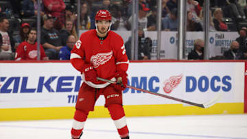DETROIT, MICHIGAN - OCTOBER 07: Taro Hirose #25 of the Detroit Red Wings skates against the Pittsburgh Penguins during a preseason game at Little Caesars Arena on October 07, 2021 in Detroit, Michigan. (Photo by Gregory Shamus/Getty Images)