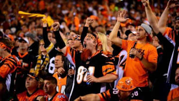 Sep 16, 2013; Cincinnati, OH, USA; Cincinnati Bengals fans against the Pittsburgh Steelers at Paul Brown Stadium. Mandatory Credit: Andrew Weber-USA TODAY Sports