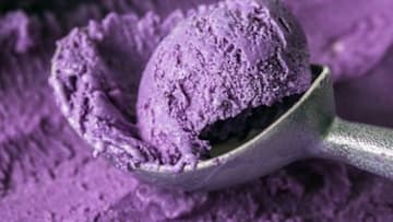 Ube Ice Cream at Chicago Botanic Show, photo provided by Sodexo