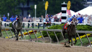 UNITED STATES - MAY 15: Nearing the finishline, Smarty Jones has left the pack behind on his way to victory in the Preakness. (Photo by Preston Keres/Washington Post/Getty Images)