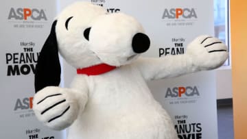 NEW YORK, NY - OCTOBER 29: Snoopy visits NYC ASPCA Adoption Center at ASPCA Adoption Center on October 29, 2015 in New York City. (Photo by Astrid Stawiarz/Getty Images)