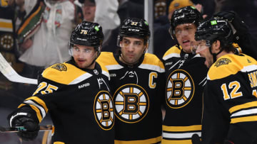 NHL, Boston Bruins. (Photo by Maddie Meyer/Getty Images )
