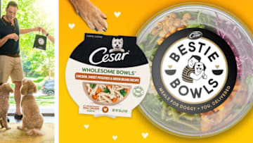 Jeff Mauro for CESAR Bestie Bowls, photo provided by CESAR