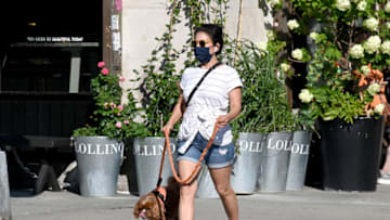 German dog-walking law (Photo by Jamie McCarthy/Getty Images)