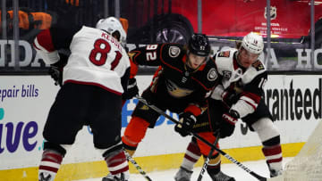 Anaheim Ducks right wing Alexander Volkov (92) Mandatory Credit: Gary A. Vasquez-USA TODAY Sports