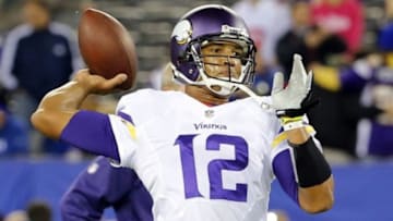 Oct 21, 2013; East Rutherford, NJ, USA; Minnesota Vikings quarterback Josh Freeman (12) warms up prior to the game against the New York Giants at MetLife Stadium. Mandatory Credit: Jim O