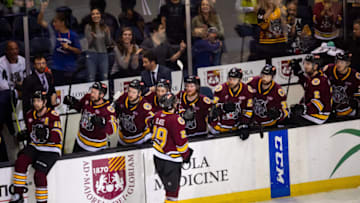 ROSEMONT, IL - JUNE 08: Chicago Wolves center Cody Glass (29) celebrates a goal with the bench during game five of the AHL Calder Cup Finals between the Charlotte Checkers and the Chicago Wolves on June 8, 2019, at the Allstate Arena in Rosemont, IL. (Photo by Patrick Gorski/Icon Sportswire via Getty Images)
