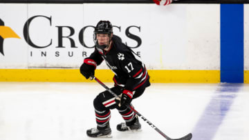 BOSTON, MA - FEBRUARY 4: Matt Filipe #17 of the Northeastern Huskies skates against the Boston University Terriers during NCAA hockey in the semifinals of the annual Beanpot Hockey Tournament at TD Garden on February 4, 2019 in Boston, Massachusetts. The Huskies won 2-1 in overtime. (Photo by Richard T Gagnon/Getty Images)