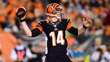 Sep 16, 2013; Cincinnati, OH, USA; Cincinnati Bengals quarterback Andy Dalton (14) throws a pass during the second quarter against the Pittsburgh Steelers at Paul Brown Stadium. Mandatory Credit: Andrew Weber-USA TODAY Sports