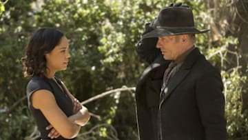 Westworld/HBO Image Acquired from HBO Media Relations