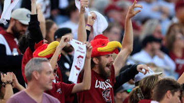 South Carolina football fans. [Corey Perrine/Florida Times-Union]