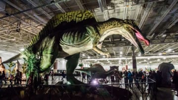 Dinosaurs of all shapes and sizes were on display during Jurassic Quest at Wisconsin State Fair Park in West Allis on Sunday, Oct. 21, 2018. The three-day event featured more than 80 life-sized animatronic dinosaurs, fossils, games, crafts, bounce houses and more.Swn Wa Jurassicquest 7558
