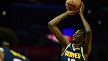 Denver Nuggets center Bol Bol Credit: Gary A. Vasquez-USA TODAY Sports