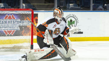 KELOWNA, BC - NOVEMBER 8: Mads Søgaard #30 of the Medicine Hat Tigers warms up in net against the Kelowna Rockets at Prospera Place on November 8, 2019 in Kelowna, Canada. (Photo by Marissa Baecker/Getty Images)