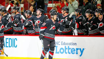 Nov 12, 2016; Raleigh, NC, USA; Carolina Hurricanes forward Sebastian Aho (20) celebrates his first national league goal against the Washington Capitals at PNC Arena. Mandatory Credit: James Guillory-USA TODAY Sports