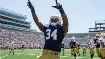 Apr 16, 2016; South Bend, IN, USA; Notre Dame Fighting Irish running back Dexter Williams (34) celebrates after a touchdown in the first quarter of the Blue-Gold Game at Notre Dame Stadium. Mandatory Credit: Matt Cashore-USA TODAY Sports