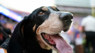 Smokey X smiles before taking the field at Ben Hill Griffin Stadium in Gainesville, Fla. on Saturday, Sept. 25, 2021.Kns Tennessee Florida Football