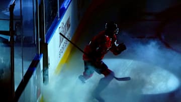 Brenden Dillon, Washington Capitals (Photo by Andre Ringuette/Freestyle Photo/Getty Images)