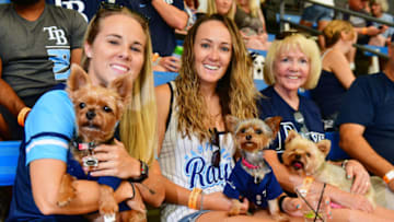 ST. PETERSBURG, FLORIDA - JUNE 15: Fans pose with their dogs at the Dog Day at the Tampa Bay Rays at Tropicana Field during a game against the Los Angeles Angels of Anaheim on June 15, 2019 in St. Petersburg, Florida. (Photo by Julio Aguilar/Getty Images)
