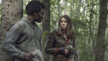 Image: The Walking Dead/AMC