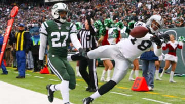 Dec 8, 2013; East Rutherford, NJ, USA; Oakland Raiders wide receiver Andre Holmes (18) is unable to catch a pass while defended by New York Jets cornerback Dee Milliner (27) during the game at MetLife Stadium. Mandatory Credit: Robert Deutsch-USA TODAY Sports