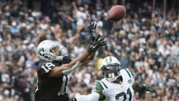 November 1, 2015; Oakland, CA, USA; Oakland Raiders wide receiver Andre Holmes (18) catches a touchdown pass against New York Jets cornerback Antonio Cromartie (31) during the second quarter at O.co Coliseum. Mandatory Credit: Kyle Terada-USA TODAY Sports