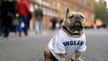 LONDON, ENGLAND - OCTOBER 27: A dog wearing a England shirt is seen outside the stadium prior to the Premier League match between Fulham FC and AFC Bournemouth at Craven Cottage on October 27, 2018 in London, United Kingdom. (Photo by Marc Atkins/Getty Images)