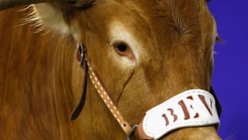 HOUSTON, TX - DECEMBER 27: University of Texas mascot Bevo looks on from his pen on the sideline at NRG Stadium on December 27, 2017 in Houston, Texas. (Photo by Bob Levey/Getty Images)