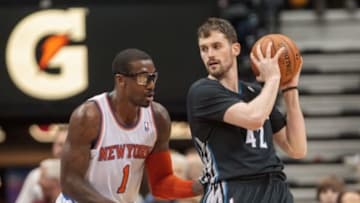 Mar 5, 2014; Minneapolis, MN, USA; New York Knicks forward Amar