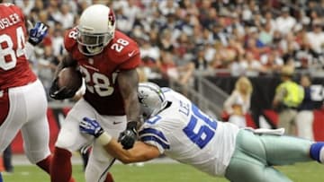 Aug 17, 2013; Phoenix, AZ, USA; Arizona Cardinals running back Rashard Mendenhall (28) runs the ball as he is pursued by Dallas Cowboys linebacker Sean Lee (50) during the first quarter at University of Phoenix Stadium. Mandatory Credit: Casey Sapio-USA TODAY Sports