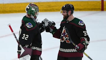 Arizona Coyotes, Antti Raanta, Alex Goligoski (Photo by Jennifer Stewart/Getty Images )