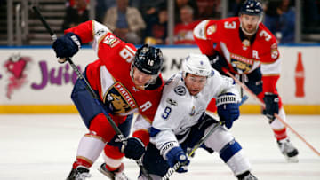 (Photo by Eliot J. Schechter/NHLI via Getty Images)