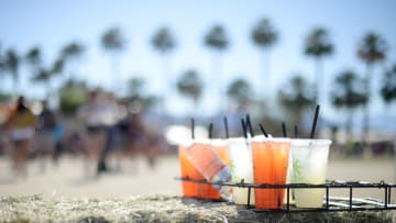 (Photo by Matt Cowan/Getty Images for Stagecoach)
