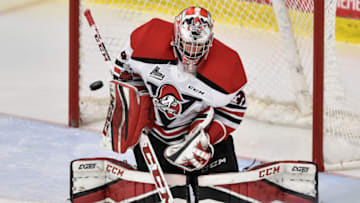 BOISBRIAND, QC - OCTOBER 27: Olivier Rodrigue #33 of the Drummondville Voltigeurs makes a save against the Blainville-Boisbriand Armada during the QMJHL game at Centre d'Excellence Sports Rousseau on October 27, 2017 in Boisbriand, Quebec, Canada. The Blainville-Boisbriand Armada defeated the Drummondville Voltigeurs 2-0. (Photo by Minas Panagiotakis/Getty Images)